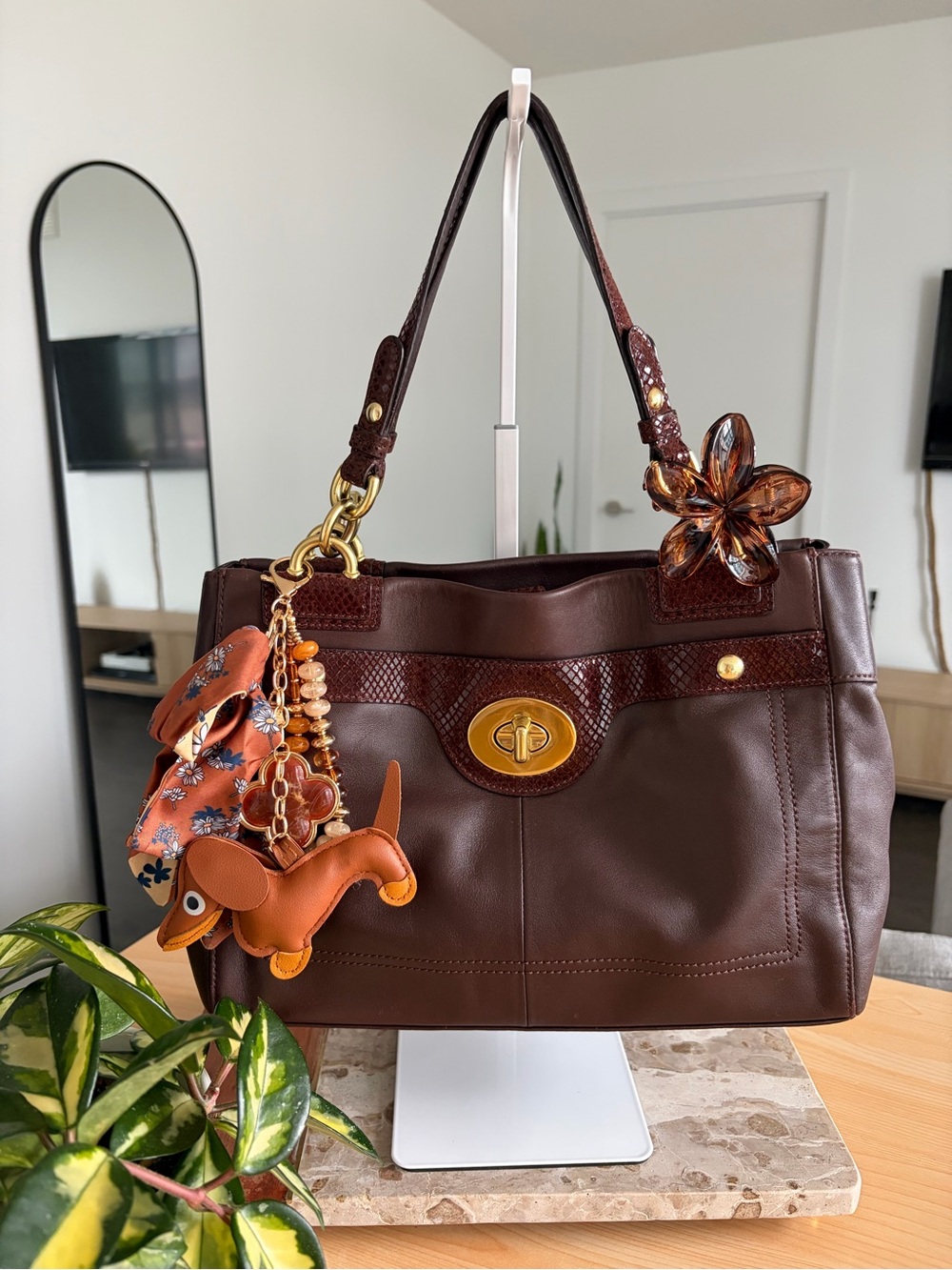 Coach Optic Penelope Caryall Satchel